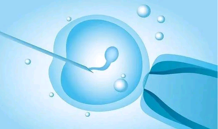 泰国有私人供卵医院吗,泰国试管婴儿胚胎分级